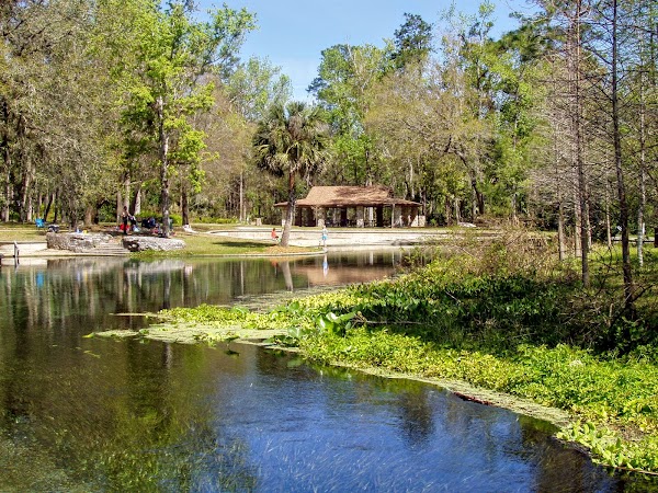 Wekiwa Springs 1