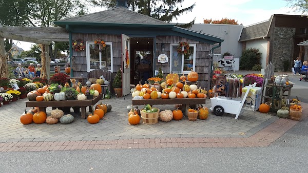 Old Candle Barn - Gift Shop 1
