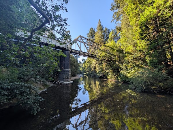 Henry Cowell Redwoods State Park 2