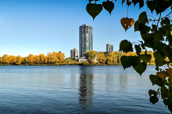 Montreal 5