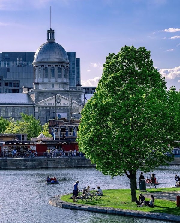 Montreal 3