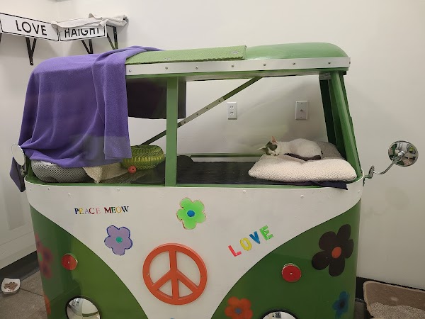 San Francisco SPCA Adoption Center 5