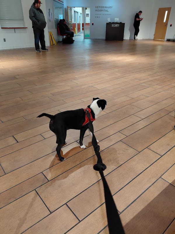 San Francisco SPCA Adoption Center 2