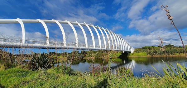 New Plymouth 2