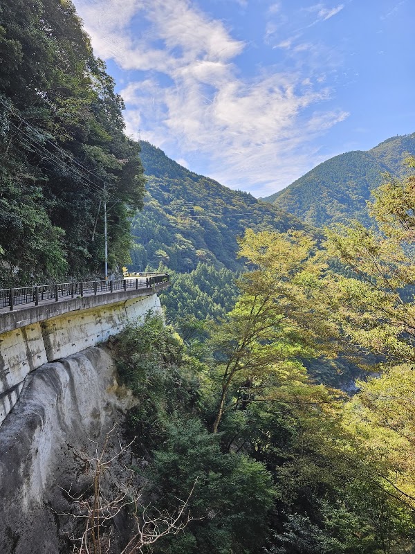 Hinoji Valley - Iya River Bend Observation Point 2