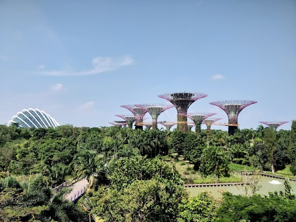 Marina Bay Overpass 1