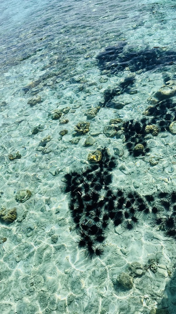 Kanawa Island 3