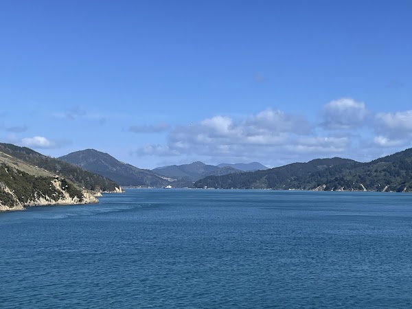 Wellington 4