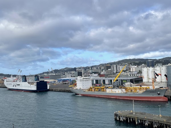 Wellington 3