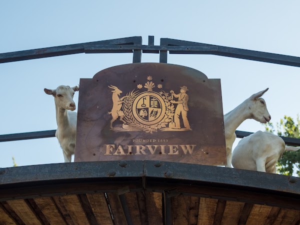 Fairview Wine and Cheese 1