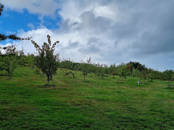 Duddingston 5
