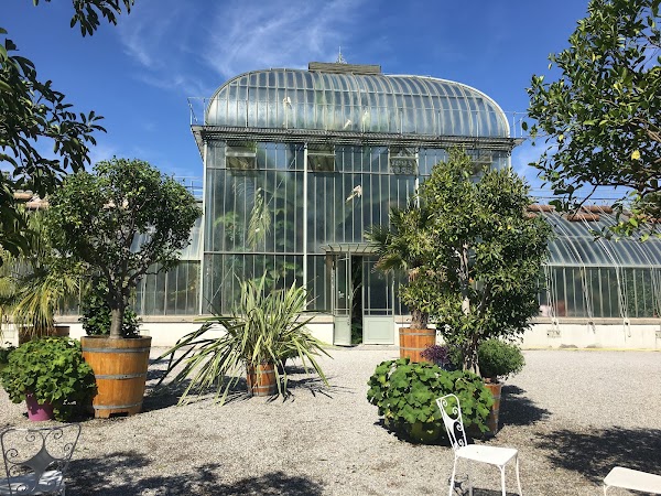 Conservatory and Botanical garden Geneva 5