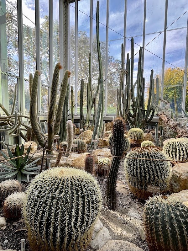Conservatory and Botanical garden Geneva 2