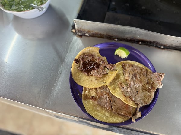 El Califa de León 4