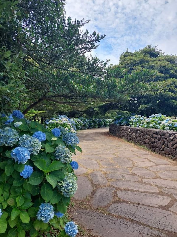 Jeju 14