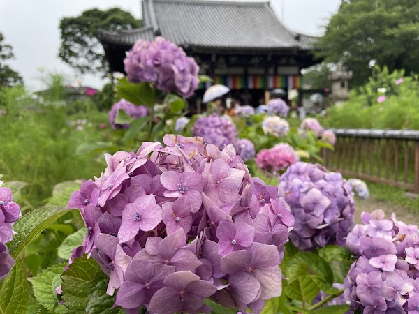 Hannya-ji 3