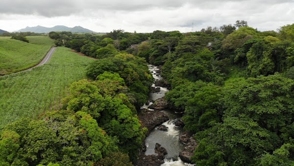 Riviere Tamarin