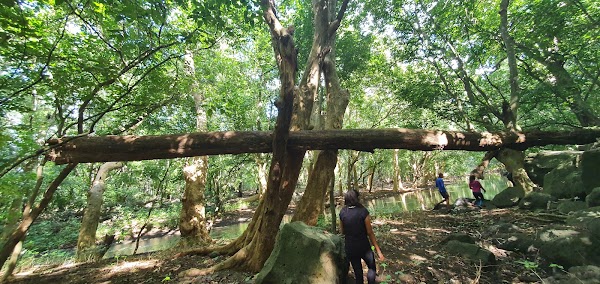 Riviere Tamarin 2