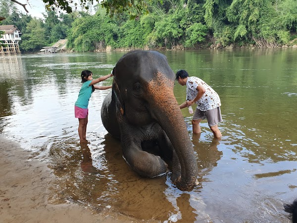 Sai Yok Elephant Park
