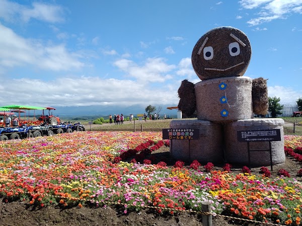 Panoramic Flower Gardens Shikisai-no-oka 3