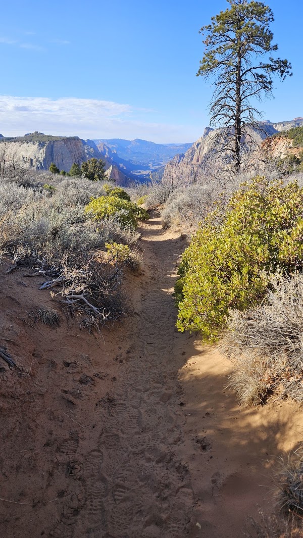 Observation Point 2