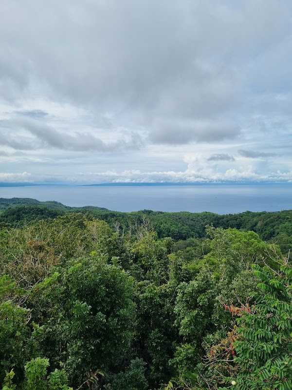 Observation tower