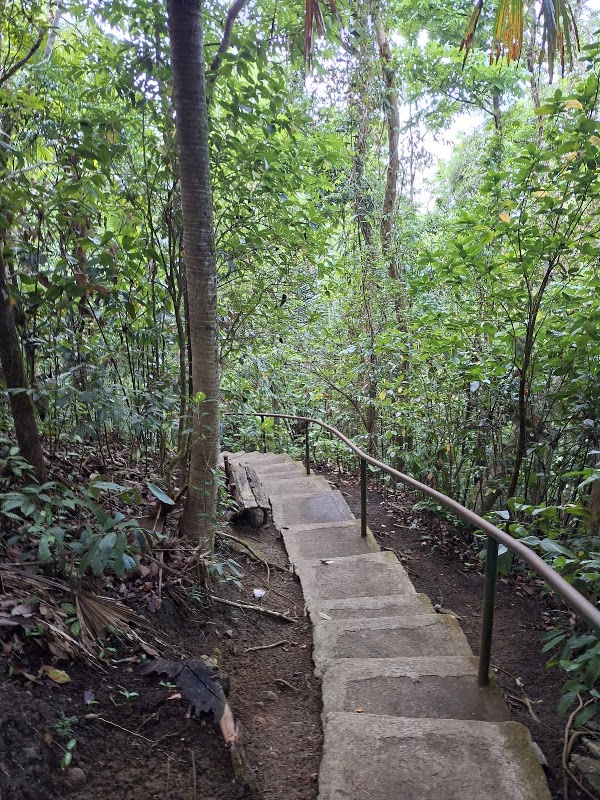 Observation tower 4