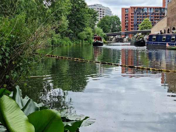 Camley Street Natural Park, London Wildlife Trust 5