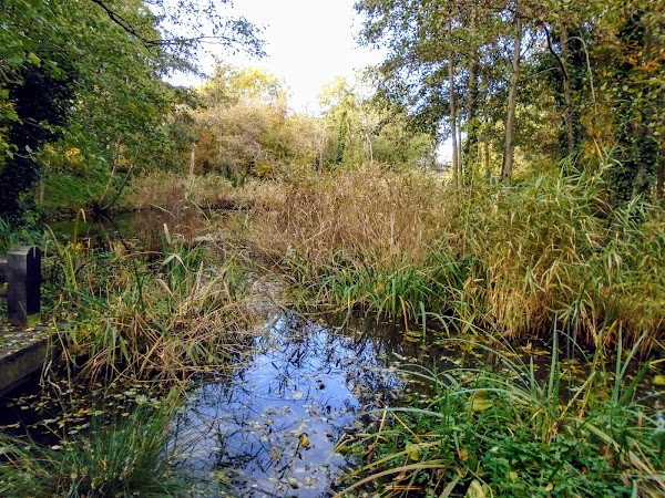 Camley Street Natural Park, London Wildlife Trust 4