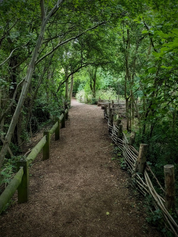 Camley Street Natural Park, London Wildlife Trust 3
