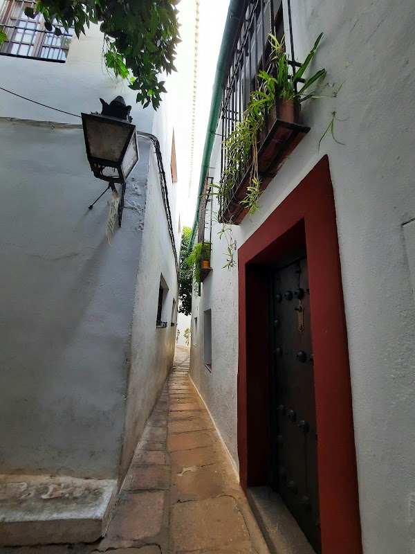 Calle Pedro Jiménez 4