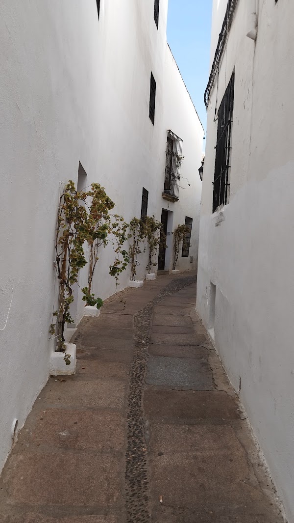 Calle Pedro Jiménez 3