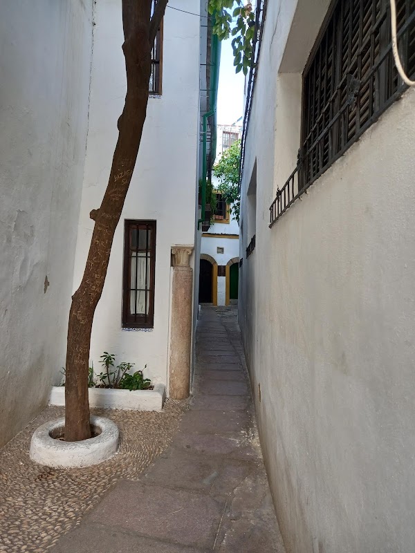Calle Pedro Jiménez 2