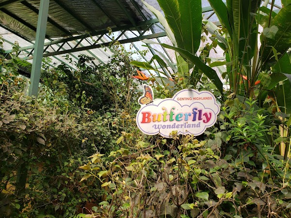 Butterfly Wonderland