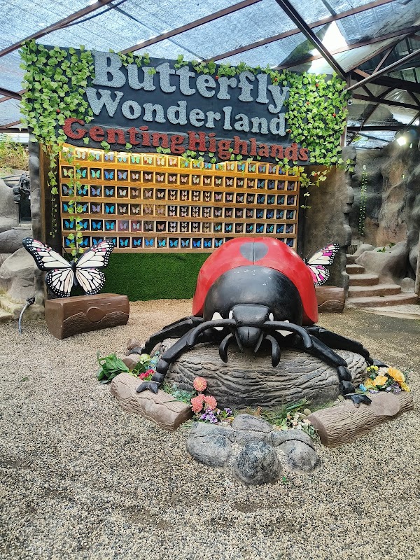 Butterfly Wonderland 5