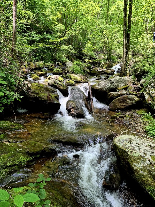 Anna Ruby Falls Visitor Center & Gift Shop 5