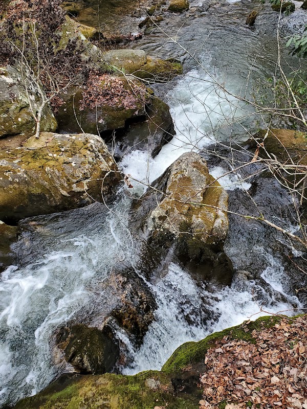 Anna Ruby Falls Visitor Center & Gift Shop 2