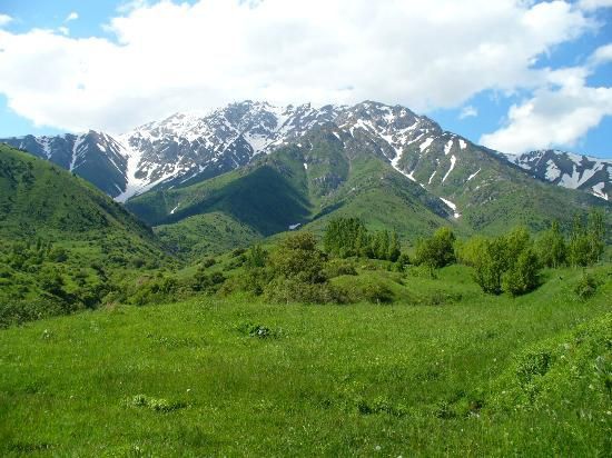 Aksu-Zhabagly Nature Reserve