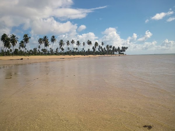 Beach Patacho - Natural Pools 1