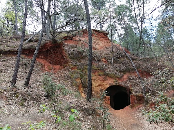 Collines de la bruyere 5