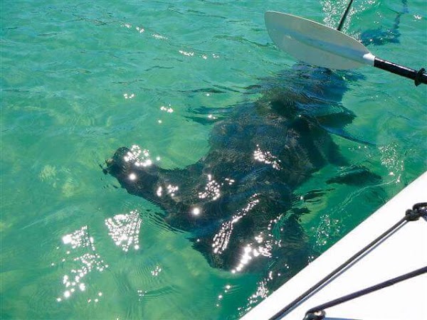 Moreton Island 2