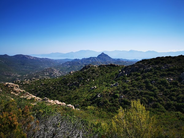 Désert des Agriates