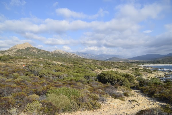 Désert des Agriates 4