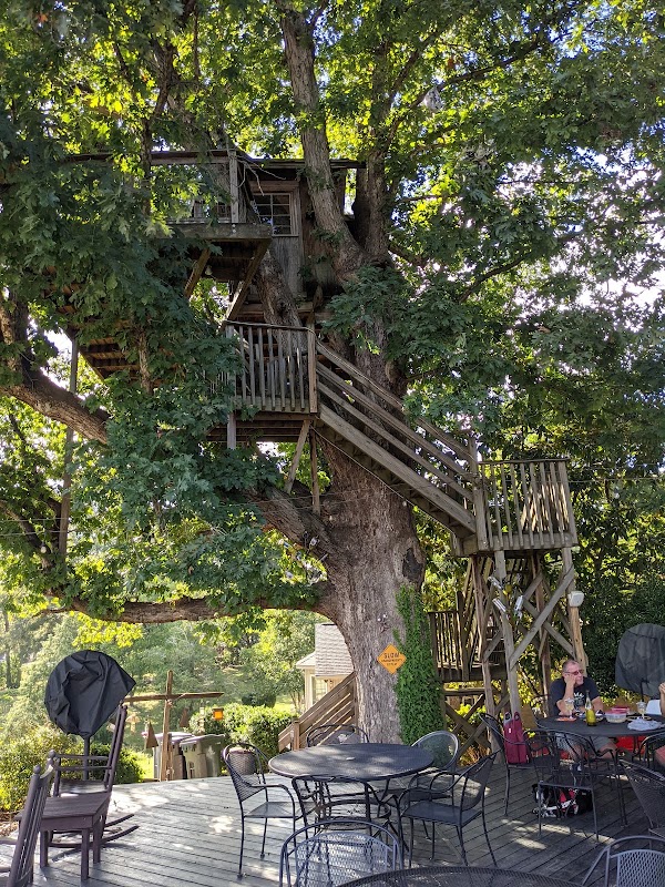 Treehouse Vineyards 5