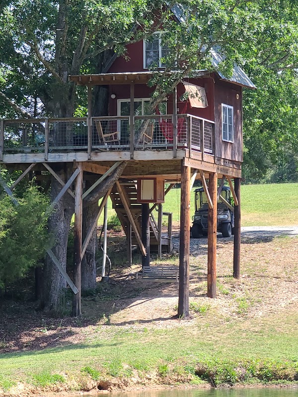 Treehouse Vineyards 4