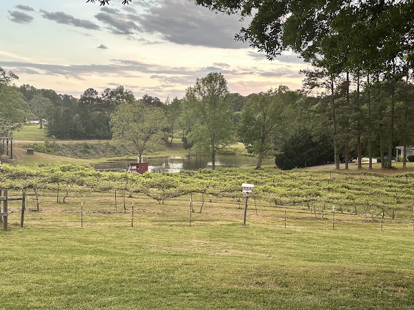 Treehouse Vineyards 3