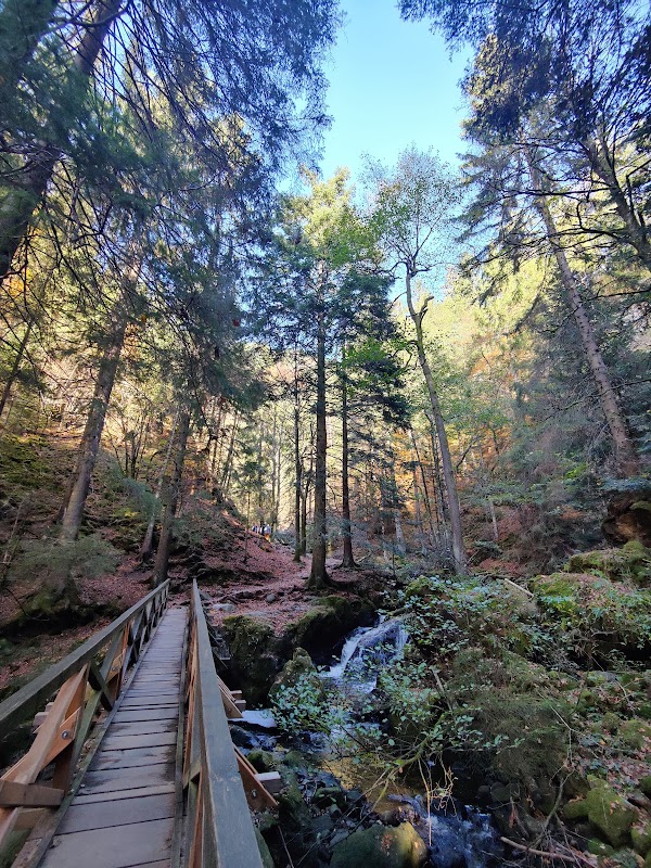 Ravennaschlucht 5