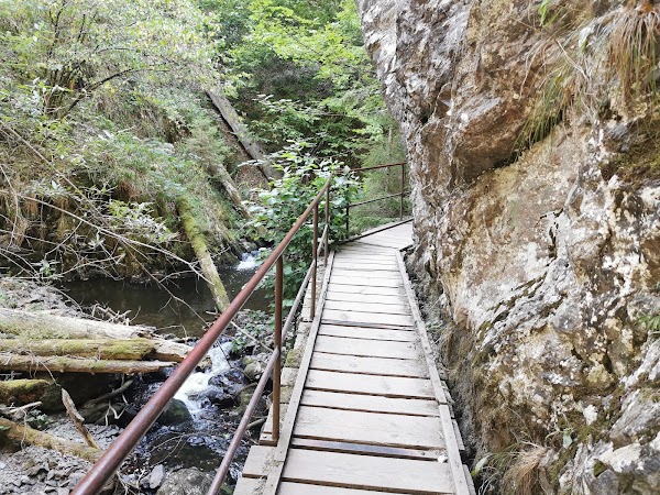 Ravennaschlucht 4