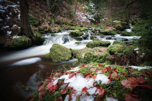 Ravennaschlucht 3