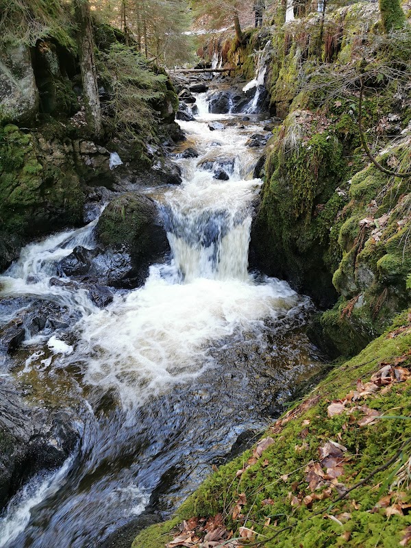 Ravennaschlucht 2